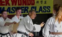 First-Taekwondo-Perth-WA-313.jpg