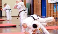 First-Taekwondo-Perth-WA-94.jpg
